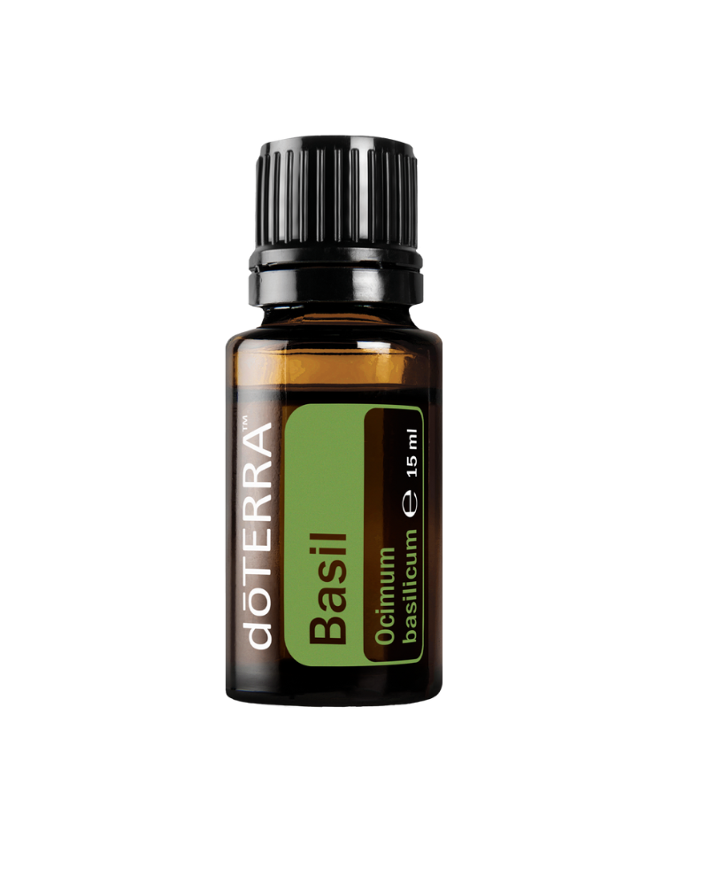 Basil 10 ml