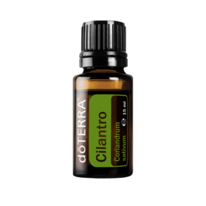 Cilantro 10 ml