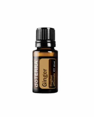Ginger 15 ml