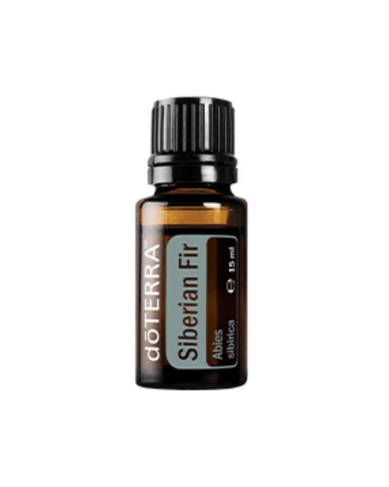 Siberian Fir 15 ml
