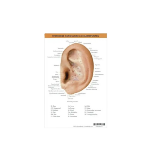 auriculaire lichaamspuntenkaart