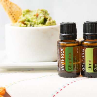 16x9-cilantro-lime-guacamole-lifestyle-us-english-web