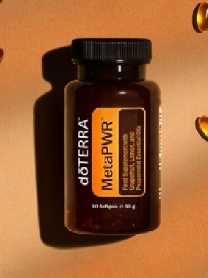 MetapWR