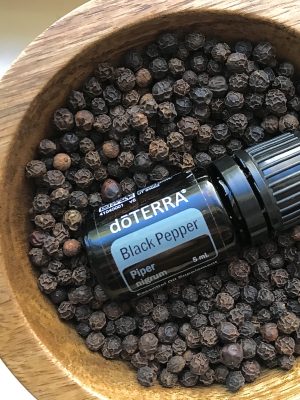 5dfa8757249ba4CDE780D0-204C-4F1A-8E4E-0B3E44301C49