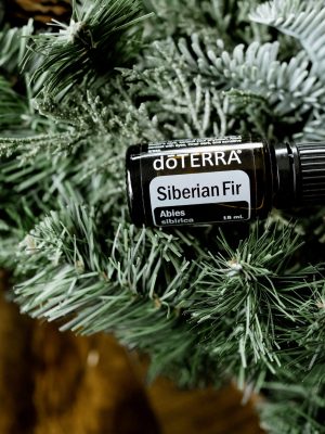 Siberian Fir_MB-120808