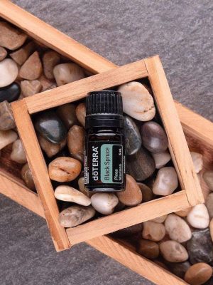 abeto-black-spruce-doterra-oleo-essencial-bem-estar-essencial