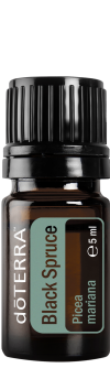 black-spruce