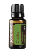 cilantro-15ml
