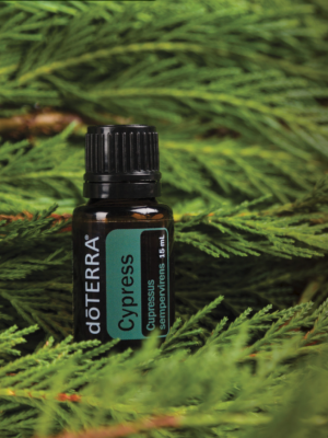 cypress_1400x