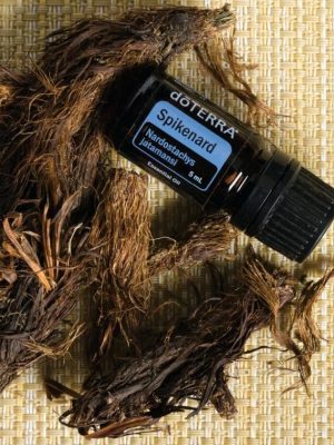 spikenard-doterra-essential-oil-images